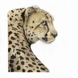 Watercolour Cheetah